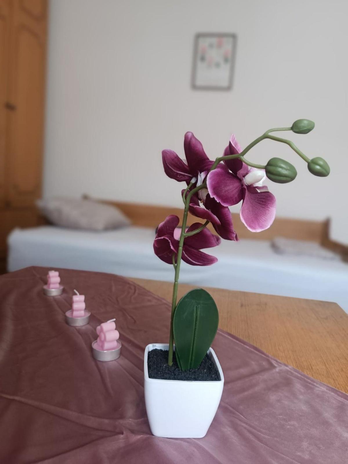 Appartement Tin