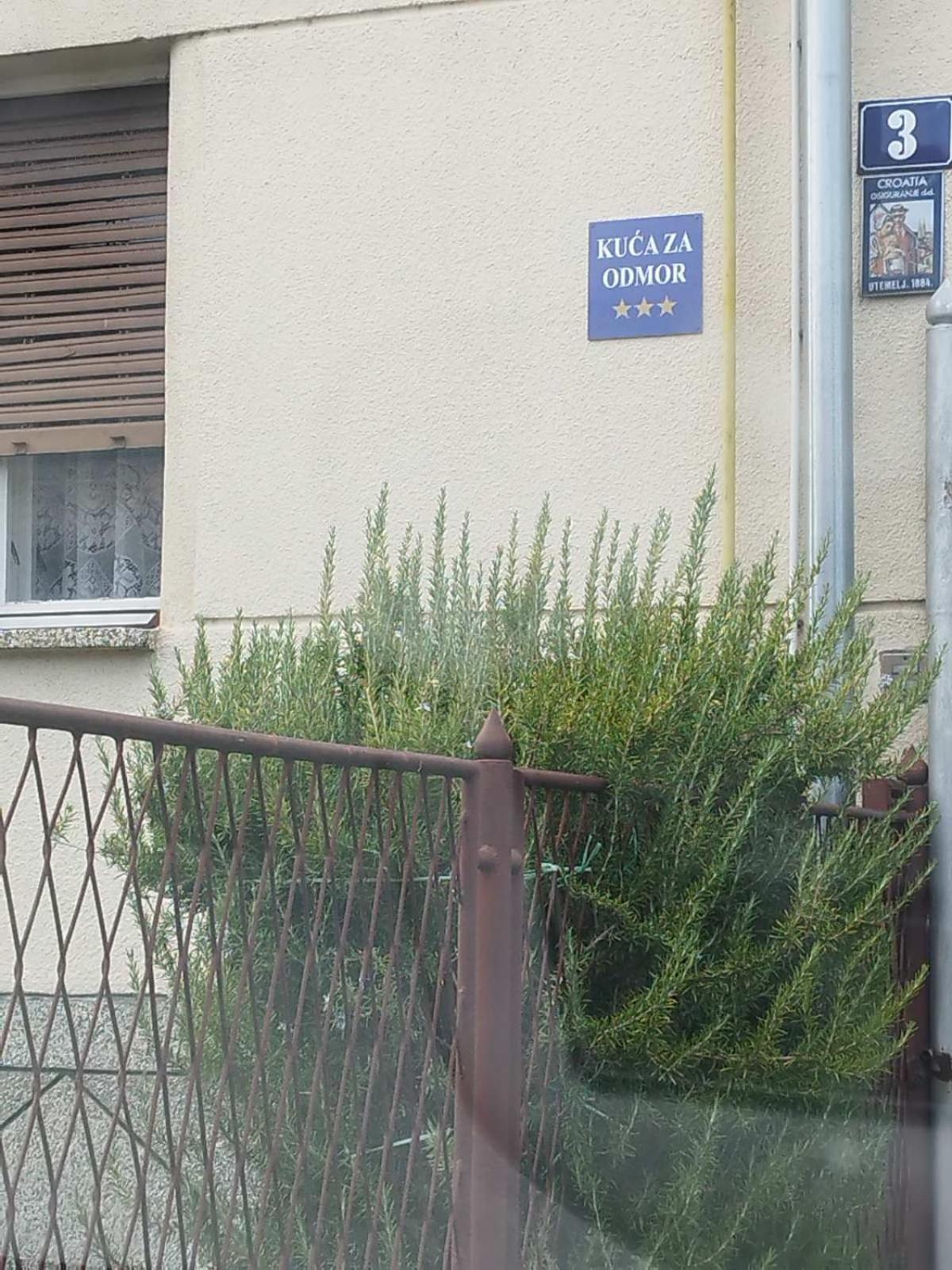 Tin * Slavonski Brod